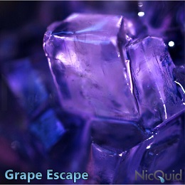 電子タバコ リキッド - Grape Escape(グレープ・エスケープ) ニコチン入りリキッド30ml